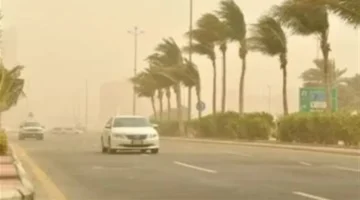 توقعات جوية: برودة ورياح ترابية تضرب البلاد بدءًا من الأربعاء